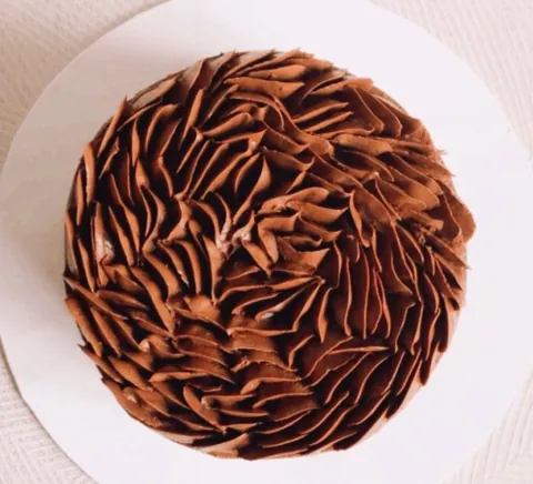 Chocolate Ruffles, a Fig & Owl cake